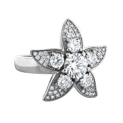 Gala Star